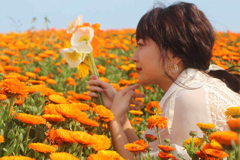 d3b4a4db14c29f8b77b4ab2608f1d044_4797e2429fd767ba10d6ff71fc3e538e